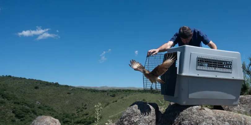 liberación-especies-parque-Biodiversidad_ prensa Municipalidad