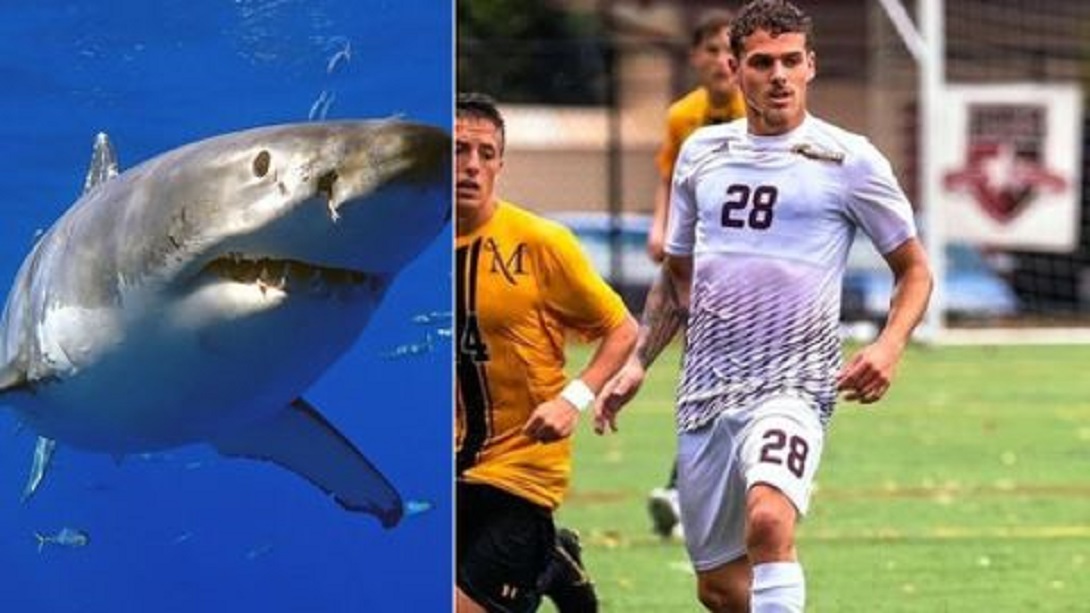 futbolista Aleman tiburones