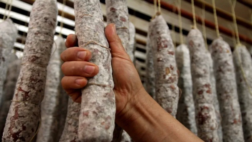 triquinosis _ cba.gov.ar