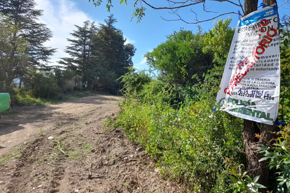 intervenciones forestales