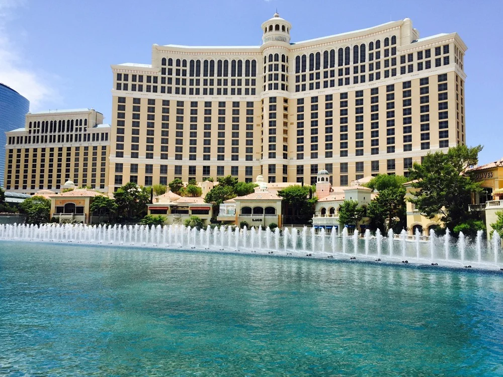 buddytheteacherscat0-hotel-850020_1920