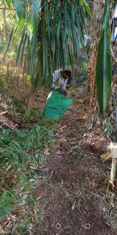 Jardin Botanico CBA 3