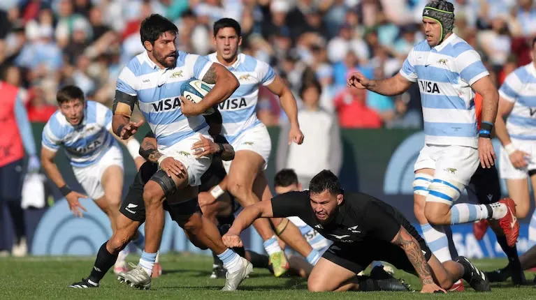 los pumas