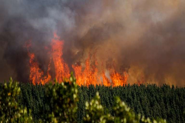 incendio-en-epuyen-20