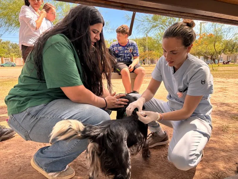 vacunación_ prensa Municipalidad