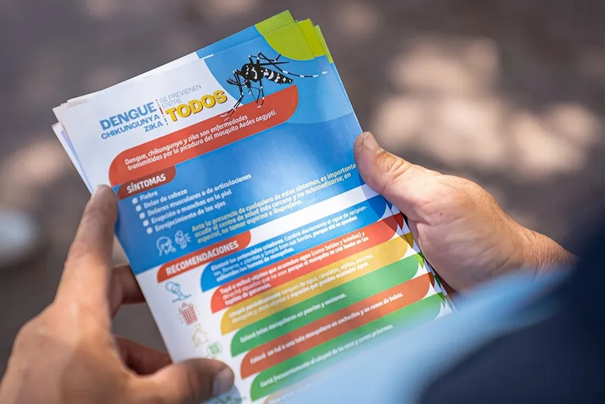 dengue-mosquitos_ cba.gov.ar