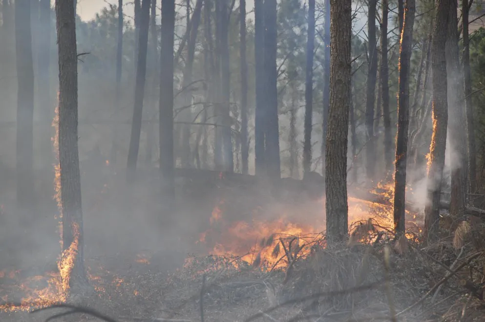 Incendios_3699