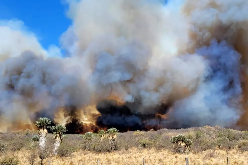 incendios-potrero de garay