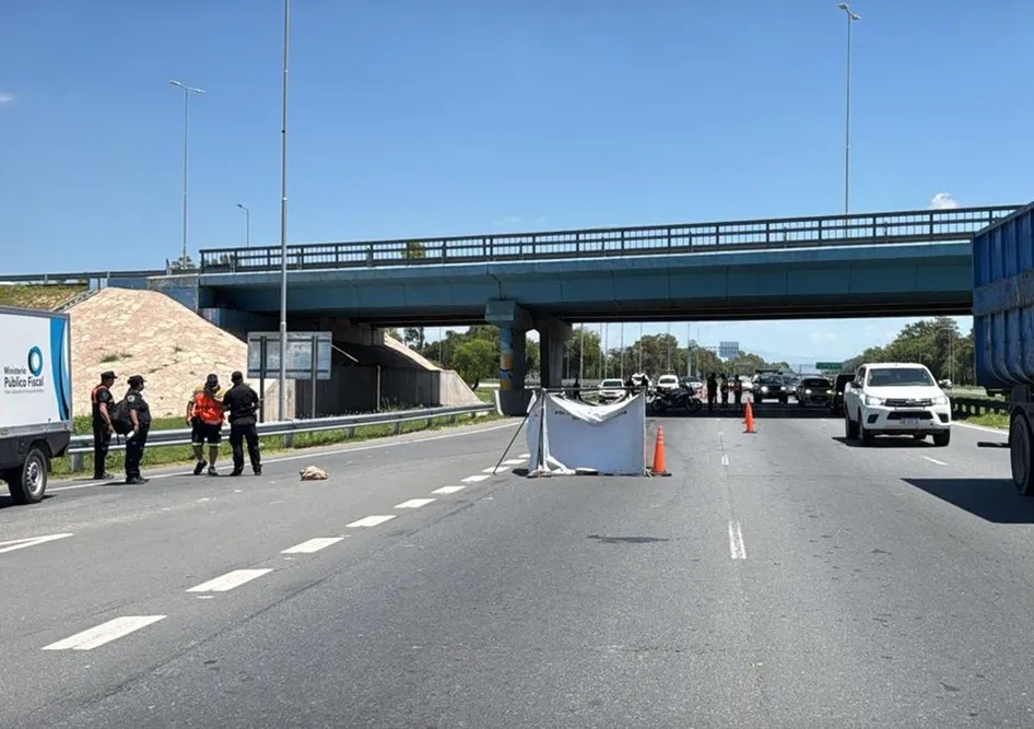 70af71fd-1054-4b52-9010-2a9da54f77c1