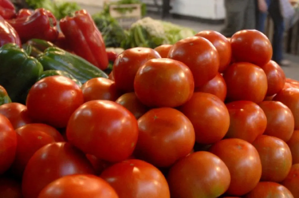 Verduras alimentos tomates vegetales