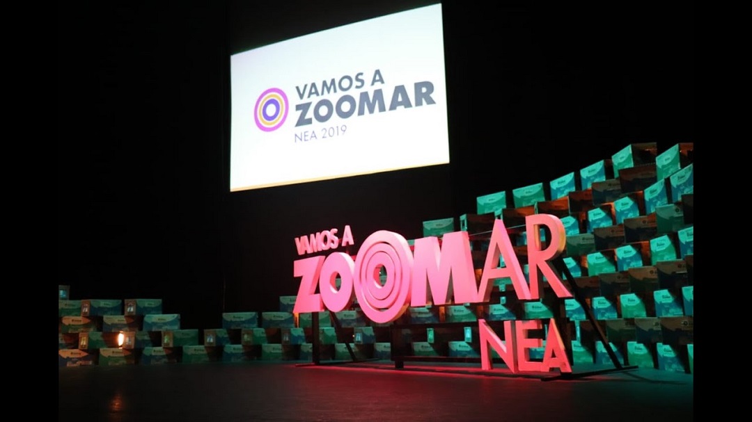 Vamos a Zoomar NEA 2019