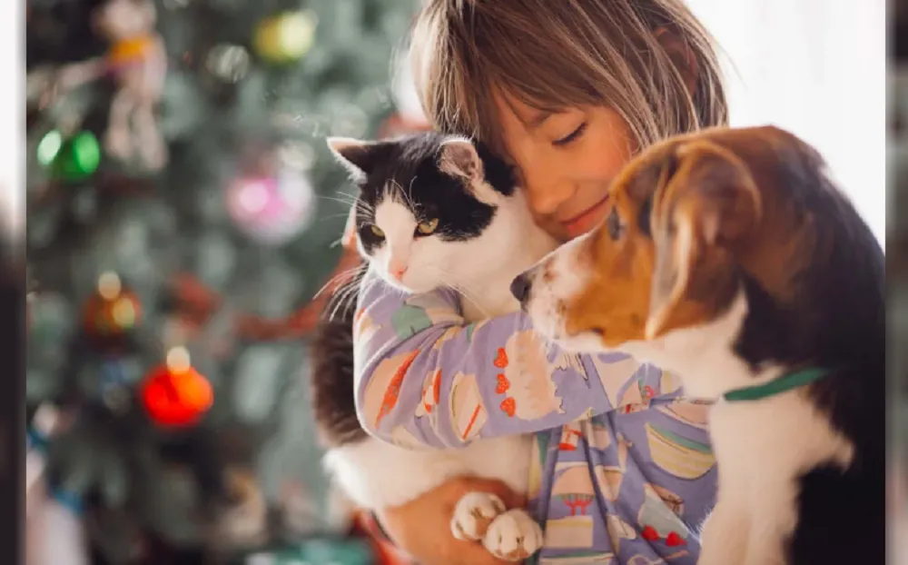 Perro mascotas cuidado pirotecnia 2