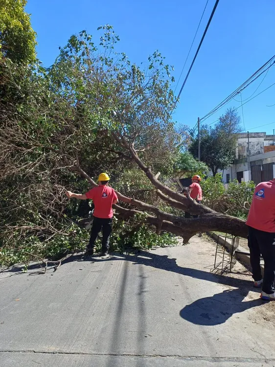 defensa civil