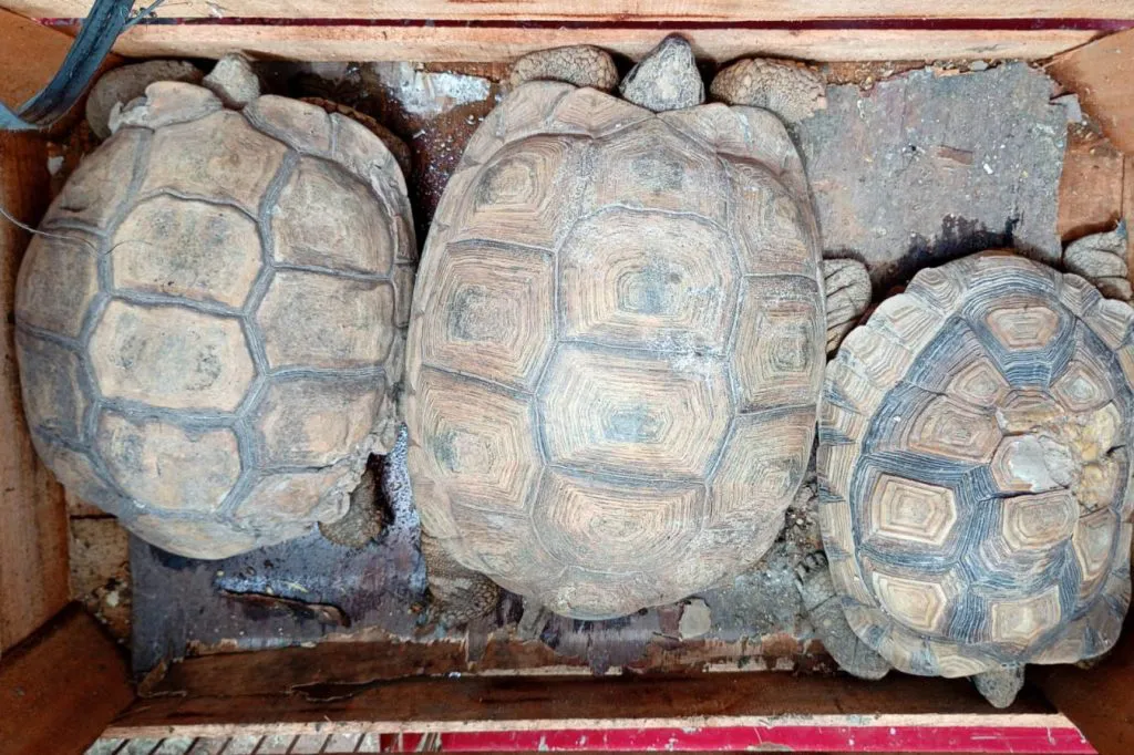 WhatsApp-Image-2026-02-16-at-14.20.05-1024x682