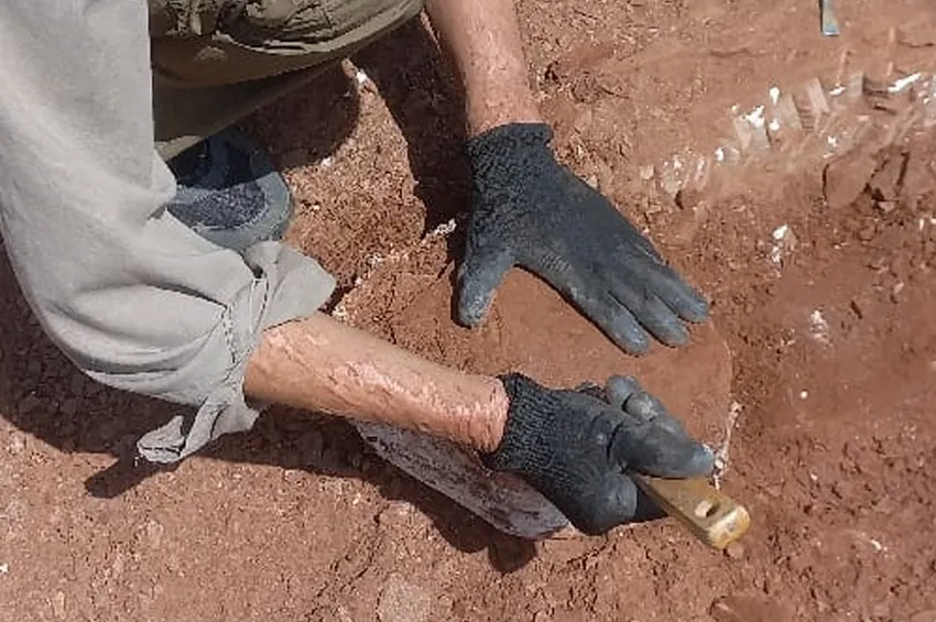 restos-fósiles_ cba.gov.ar