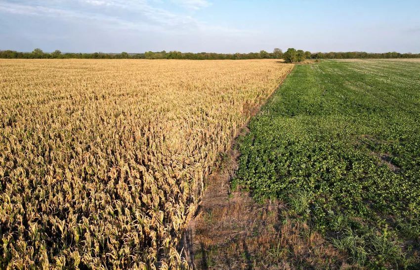 Sequía-cosecha-agro-pérdidas_ NA