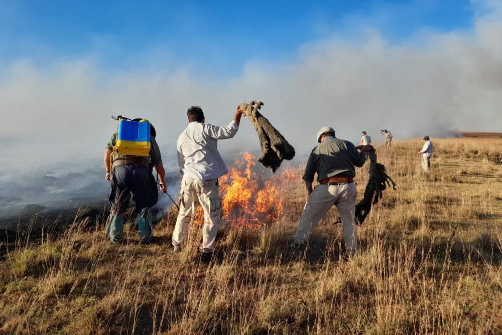 paisanos incendios corrientes