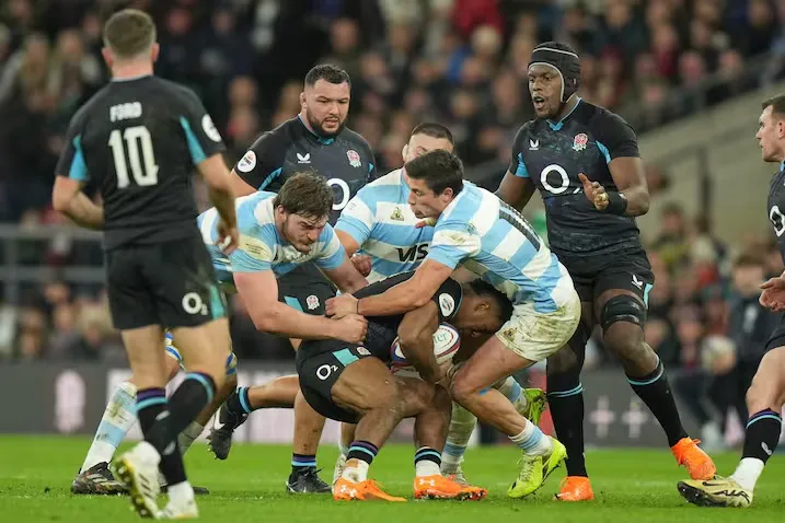 los pumas