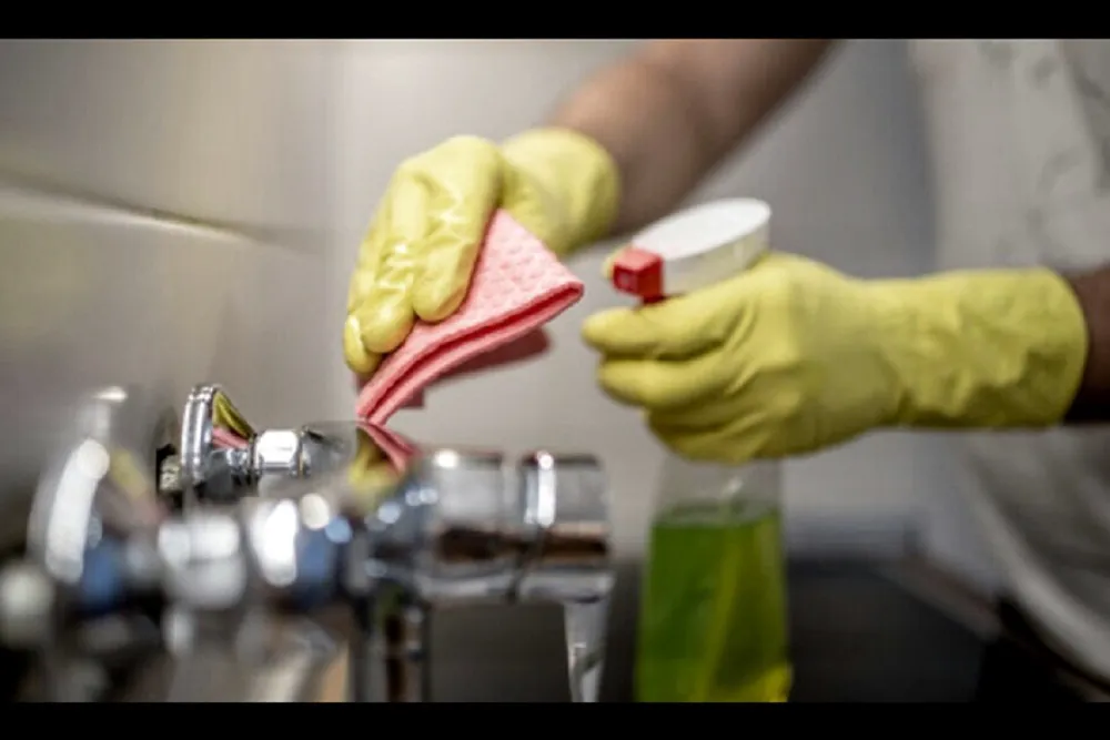 Personal domestico y casas particulares