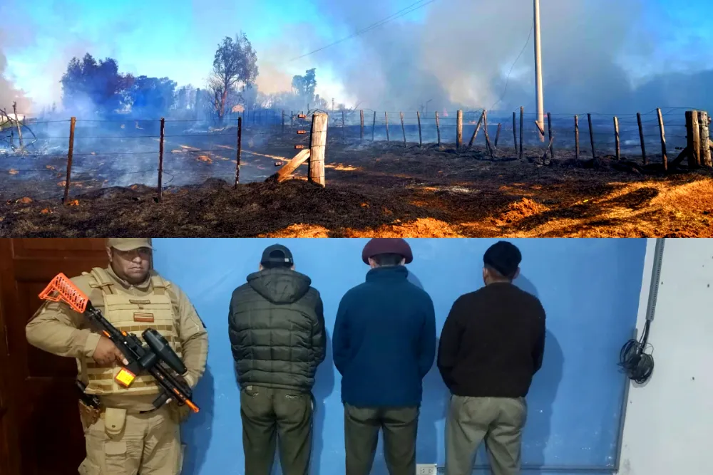 detenidos incendios