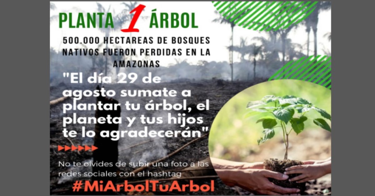 MiArbolTuArbol: la iniciativa viral para sembrar un árbol y contrarrestar  los perdidos en la Amazonas