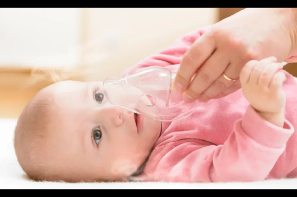 Canasta de crianza bebes