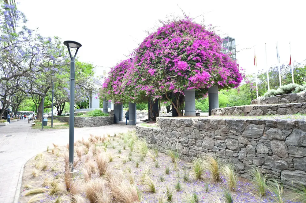 La nueva Peatonal Ayacucho