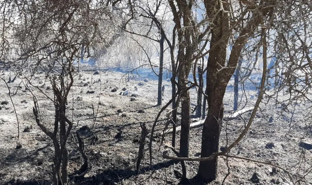Incendio-Tulumba-2