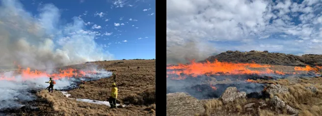 Fuego incendios córdoba sierras bomberos
