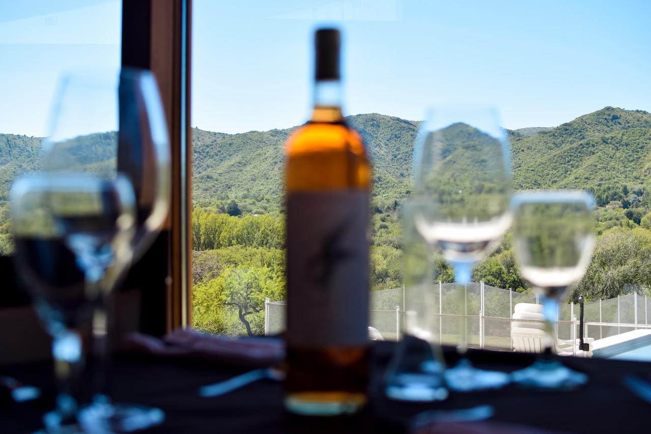 Turismo del Vino