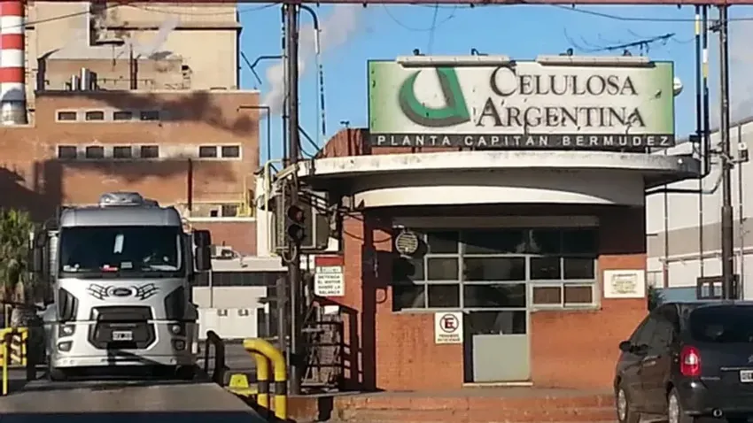 Celulosa-planta_ NA