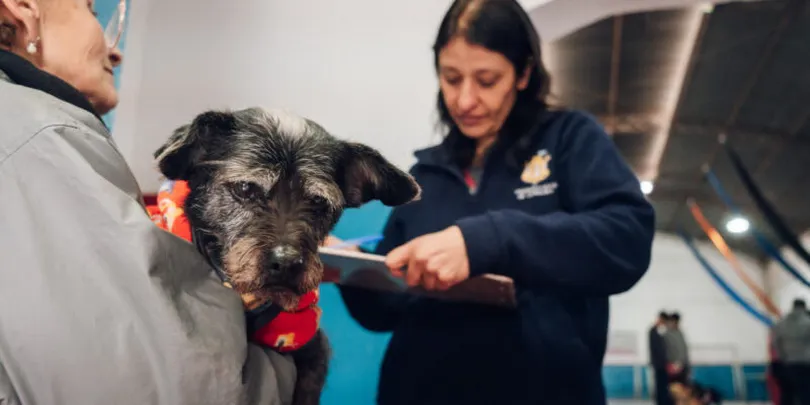 vacunación-perros-gatos_ prensa Municipalidad