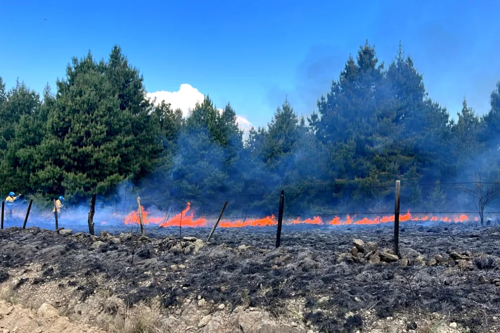 Incendio fuego sierras