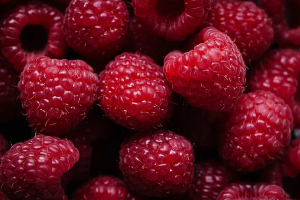 Frambuesas