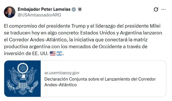 embajador Peter Lamelas
