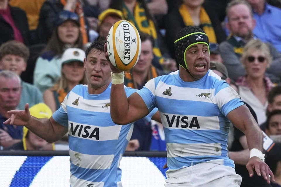 los pumas