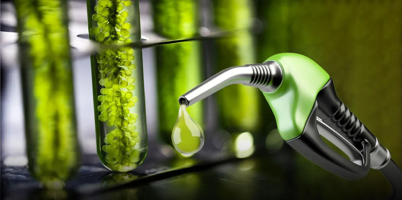 biocombustibles