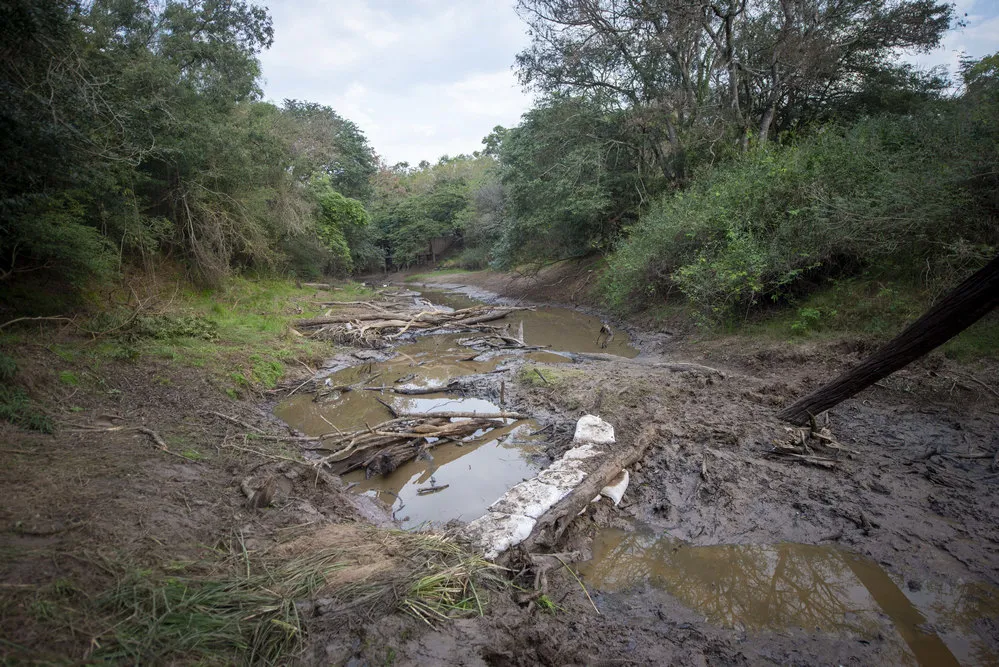 EL OBJETIVO FOTO RIO TRAGADERO CASO CECILIA
