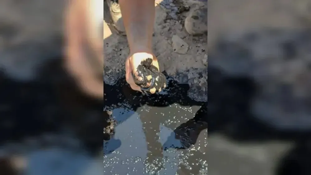 picun-petroleo