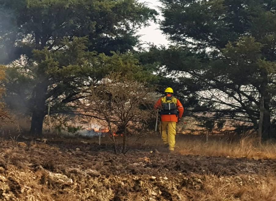 Bomberos continúan trabajando