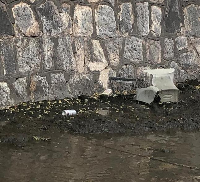 limpieza La Cañada_04