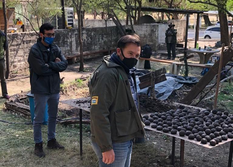 Bomba de Semillas 1