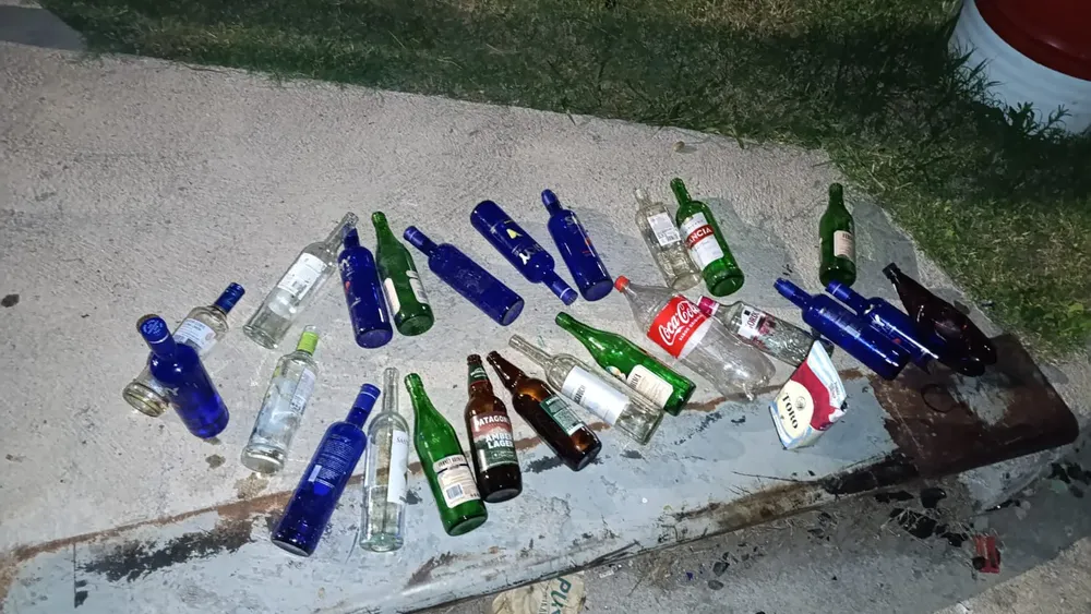 fiscalización y control