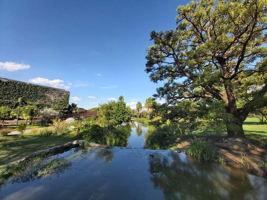 7-Jardin Botanico - El Objetivo