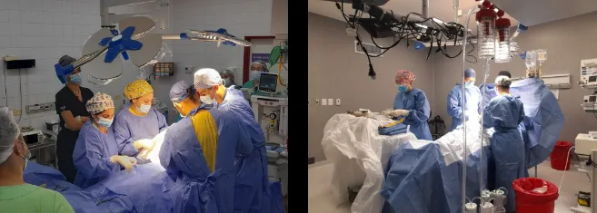 Donación de órganos 1