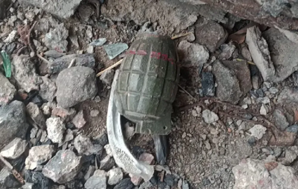 granada en el tren Belgrano Norte