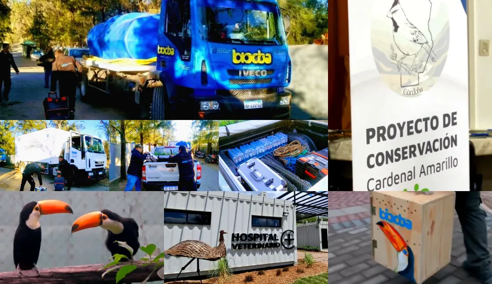 Conservación y rescate animal2