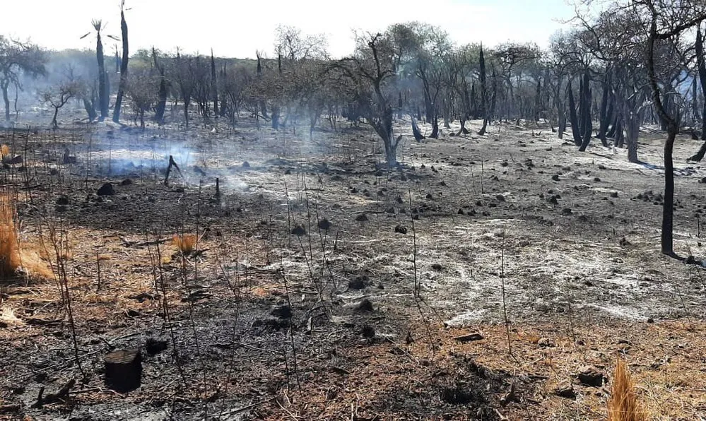 EL OBJETIVO FOTO INCENDIO GUASAPAMPA