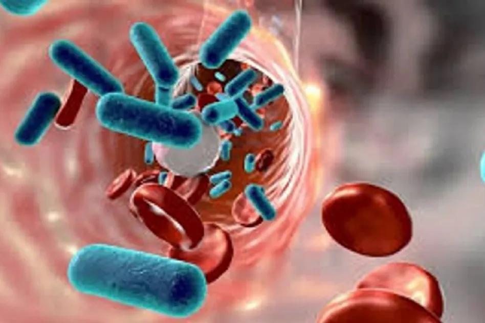 síndrome urémico hemolítico