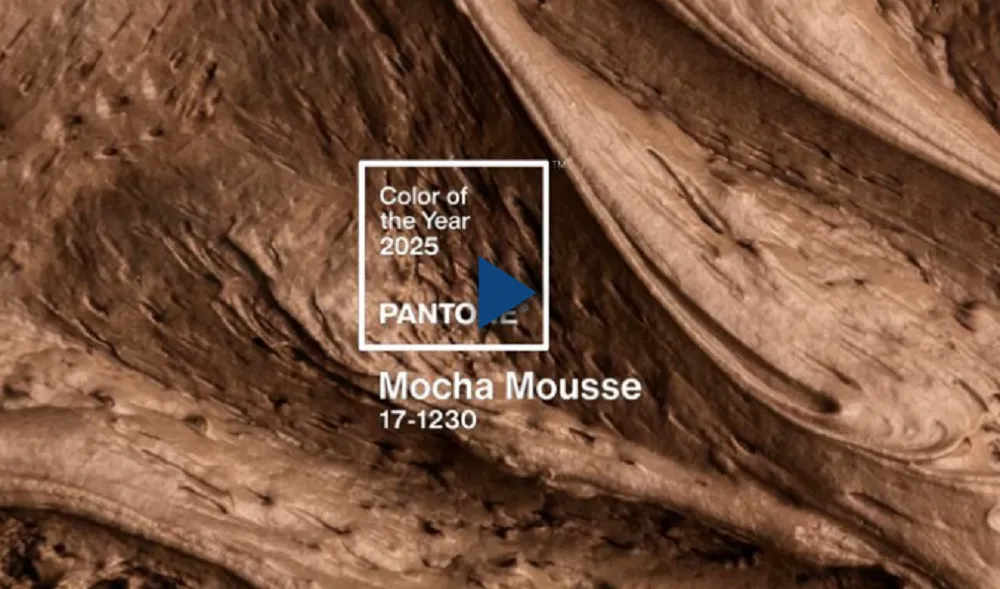 Pantone 2025 Mocha Mousse